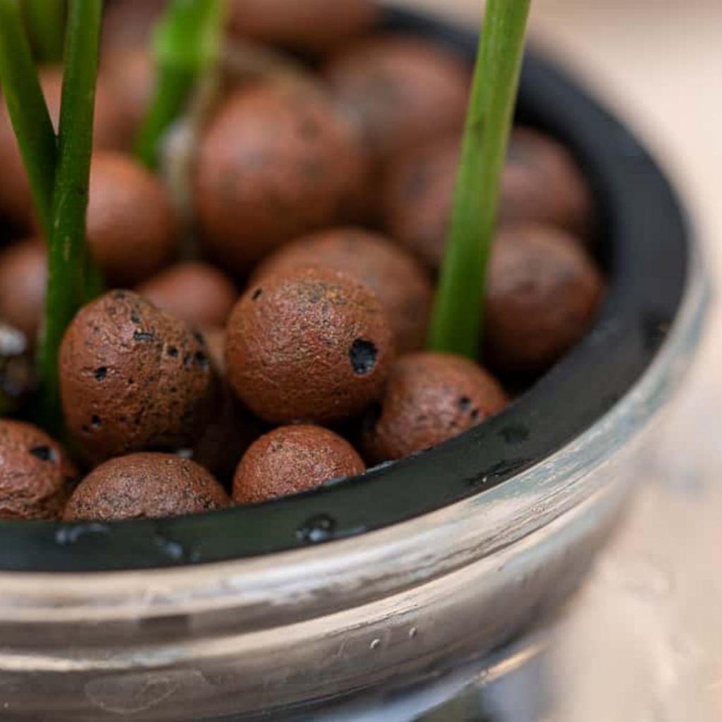 ph-11134207-81zto-mdydu2vknshyea