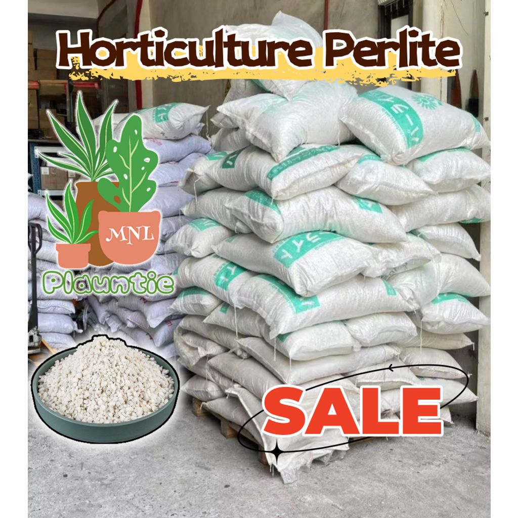 ph-11134207-81ztm-mdyfxu03wagxf9