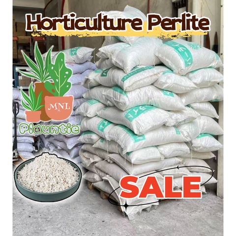 ph-11134207-81ztm-mdyfxu03wagxf9