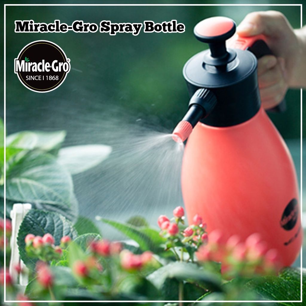 sg-11134201-22100-gdndf6wny5ivcb