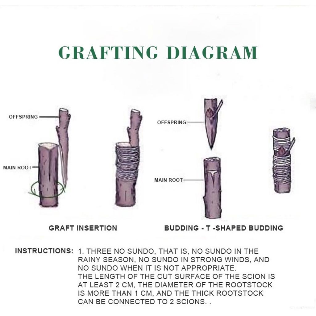 dd9ec2c0311b087a73cb460393e2bbbe