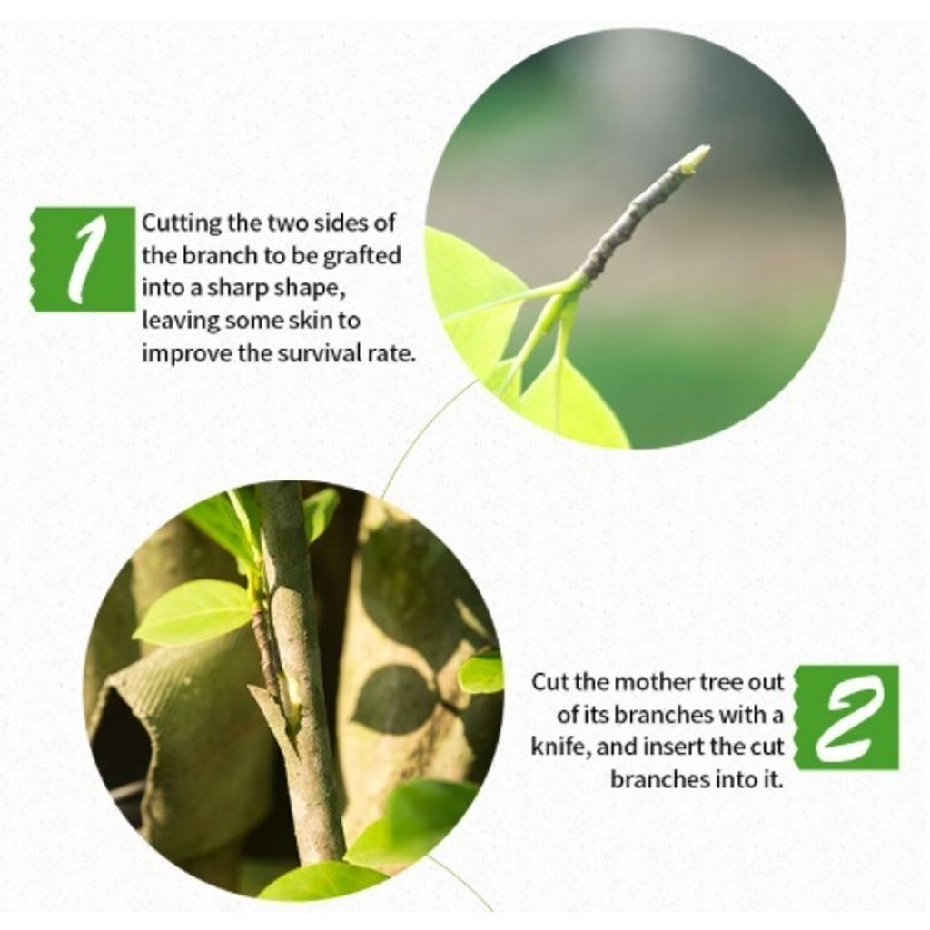 19574ce6ad19846c09ac7e73db573fe0