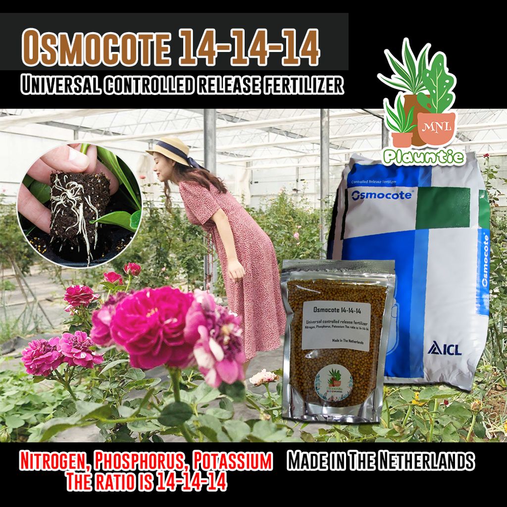 ph-11134207-7r98z-lnk0mr3eo0bedc