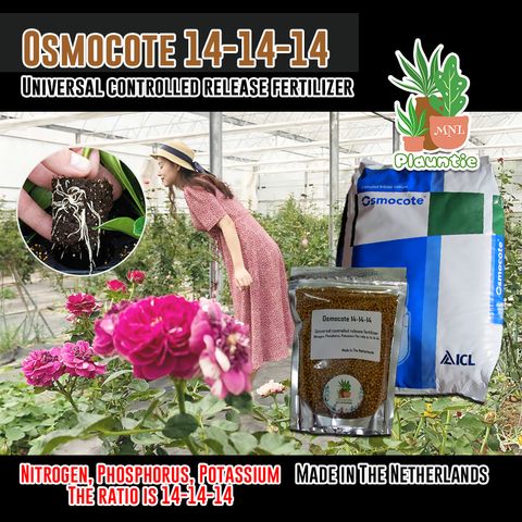 ph-11134207-7r98z-lnk0mr3eo0bedc