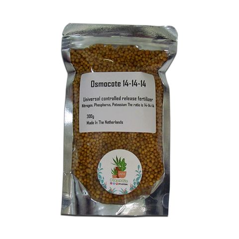 ph-11134207-7r98w-lnk0mr48seqi9d