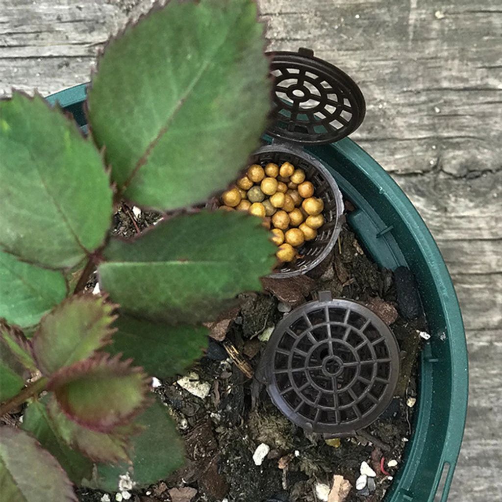 ph-11134207-7r98v-lnk0mr3egzh67b