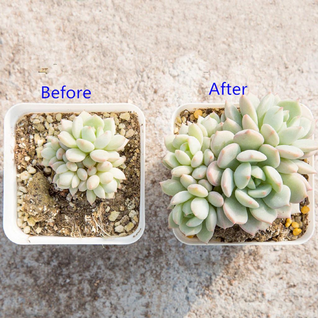 ph-11134207-7r98p-lnk0mr3eie1mdd