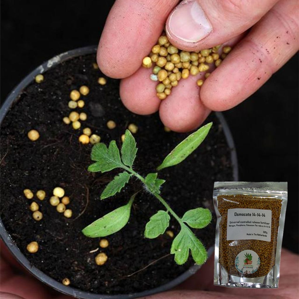 ph-11134207-7r98v-lnk0mr3ejsm207