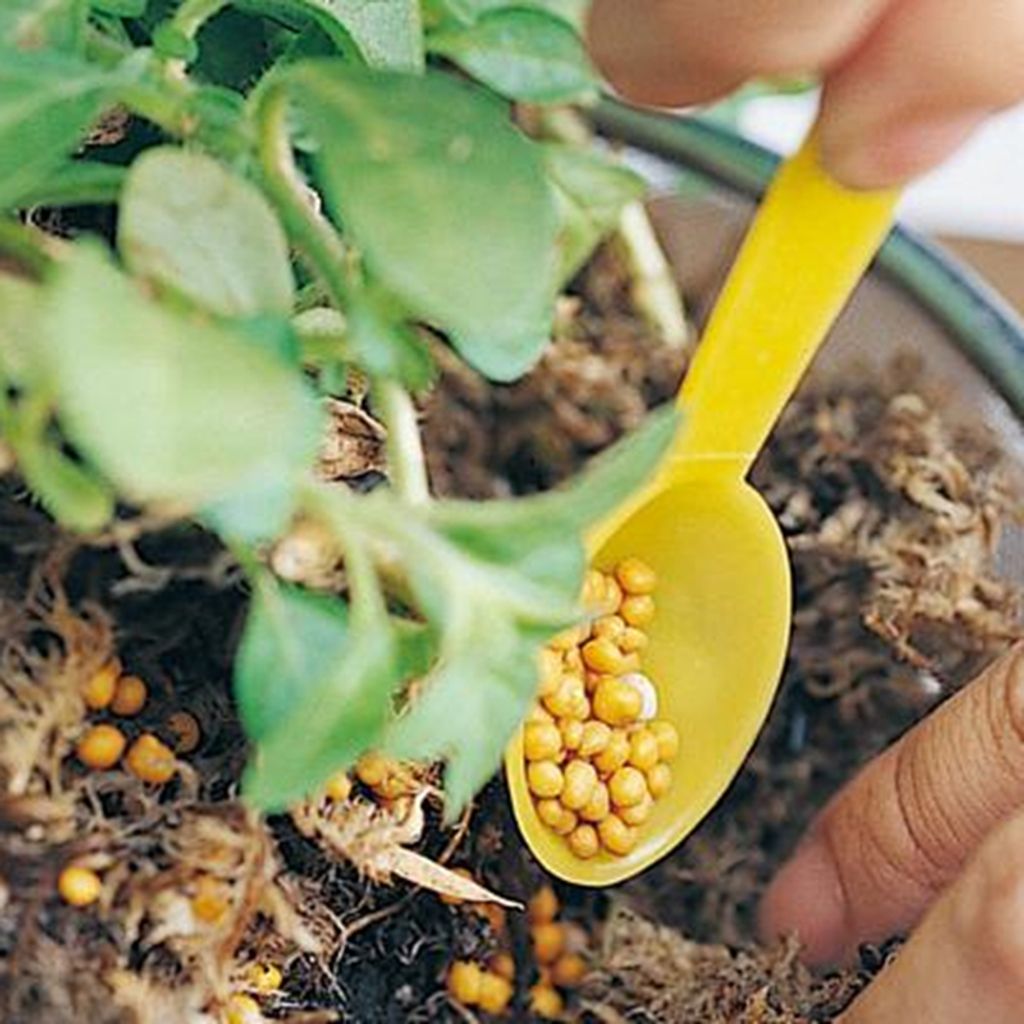 ph-11134207-7r98x-lnk0mr3el76i9c