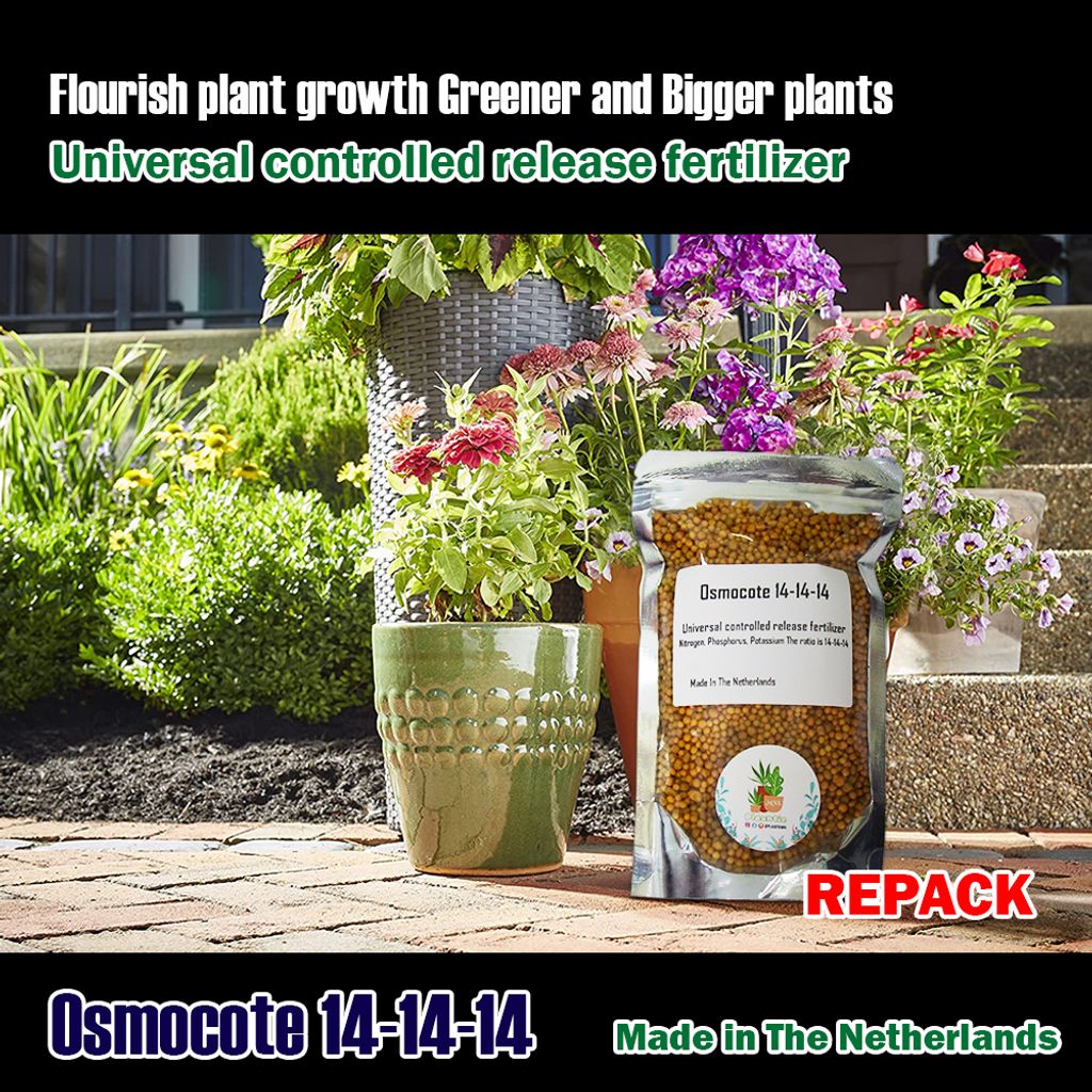 ph-11134207-7r98v-lnk0mr3emlqye8