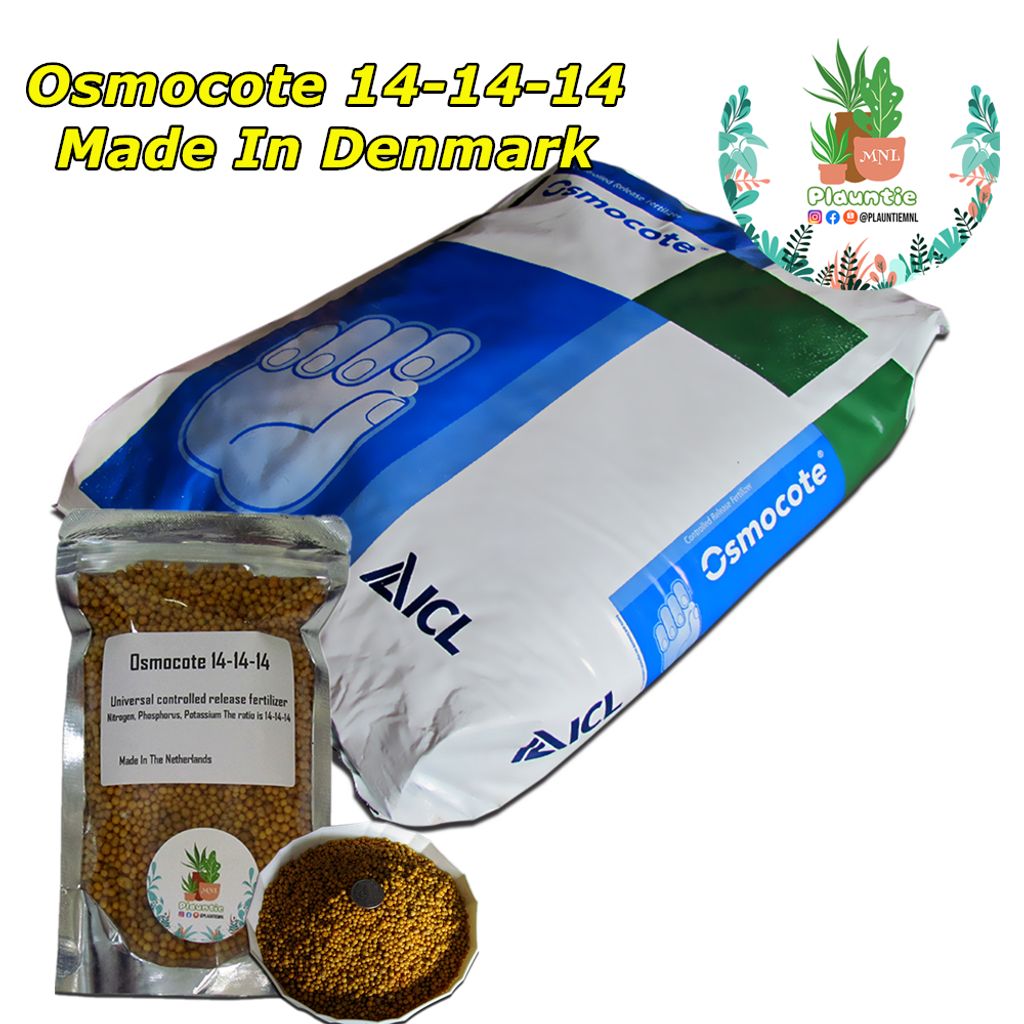 ph-11134207-7r98p-lnk0mr3efkwq8e