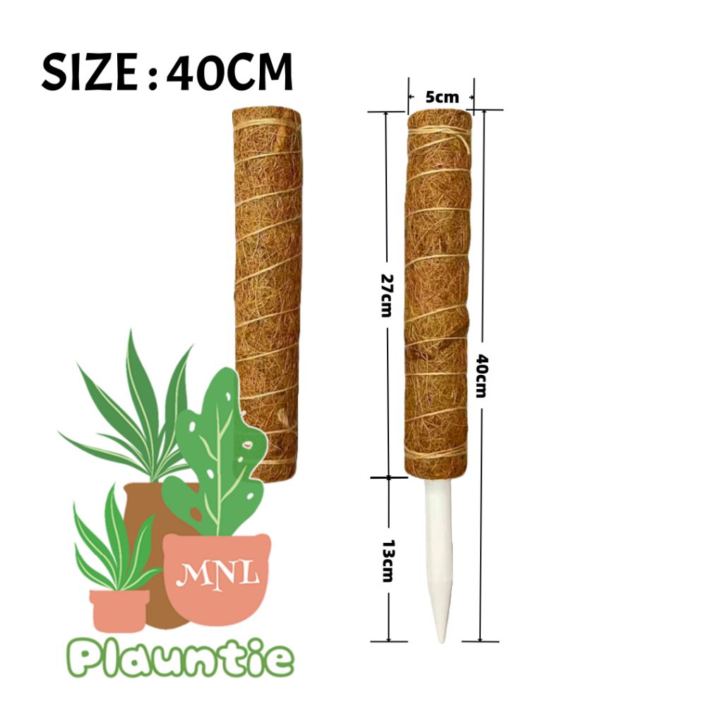 ph-11134207-81ztm-mi2sgtsmemma3c