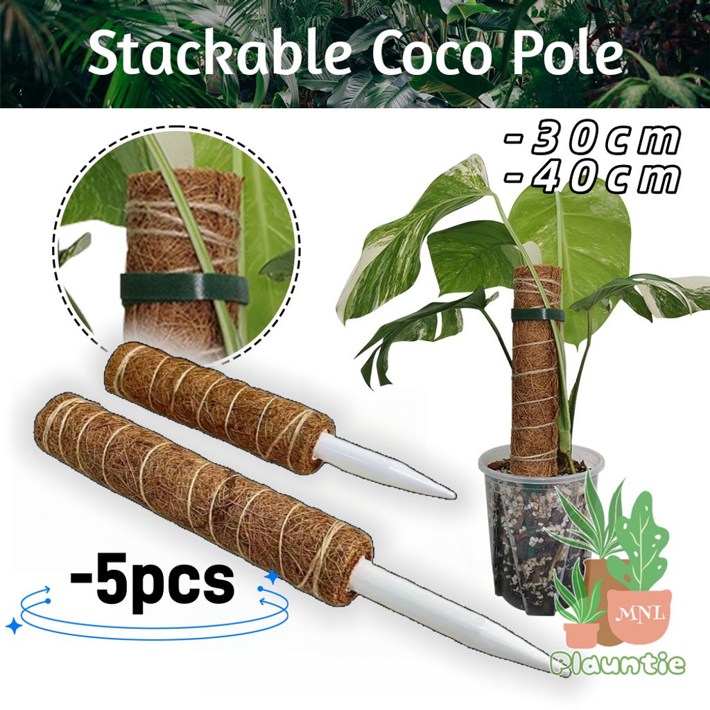 ph-11134207-81zth-mi45rr9faccia0