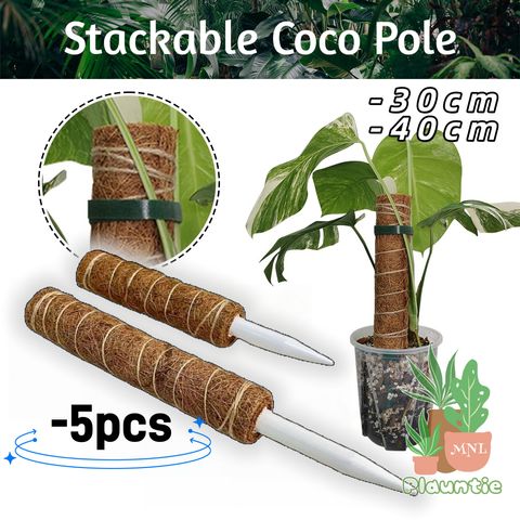 ph-11134207-81zth-mi45rr9faccia0