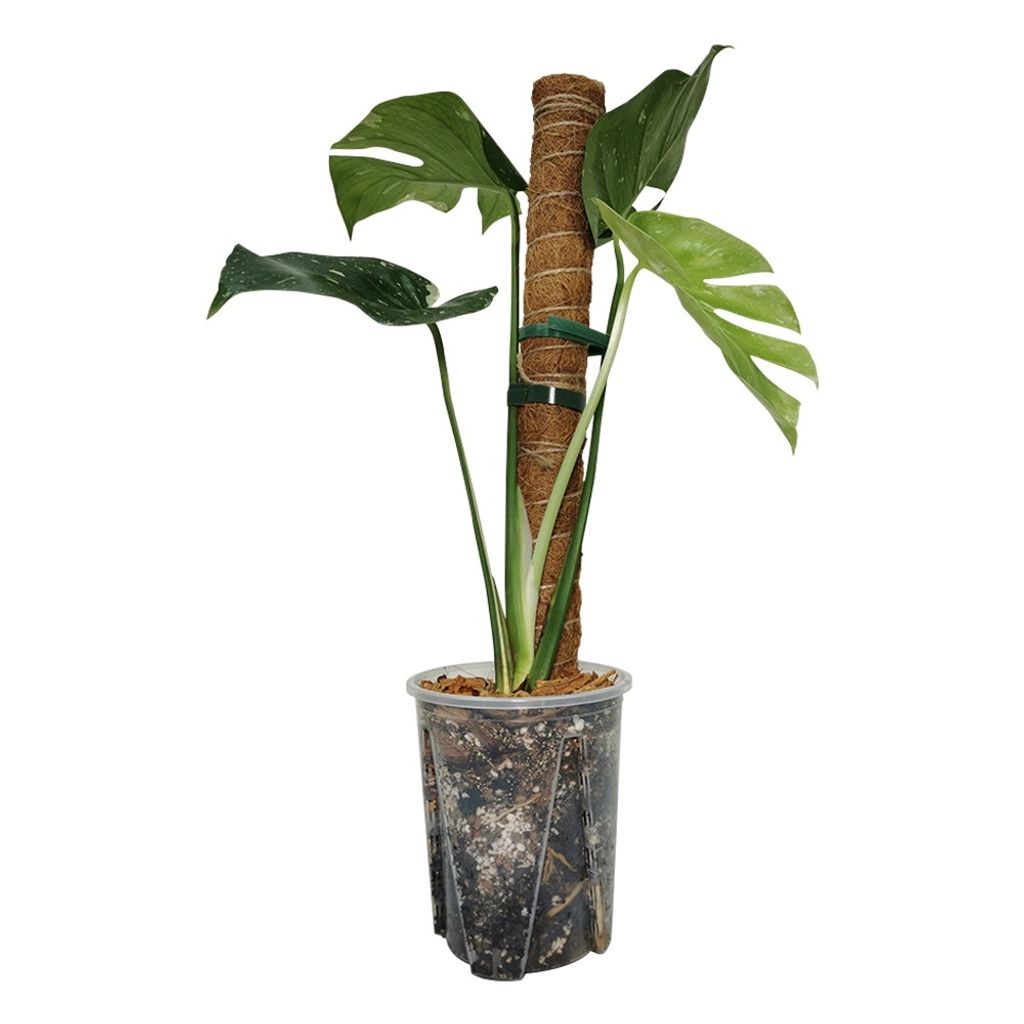 f22fb7f54e354565341fe09e5ed67bbe