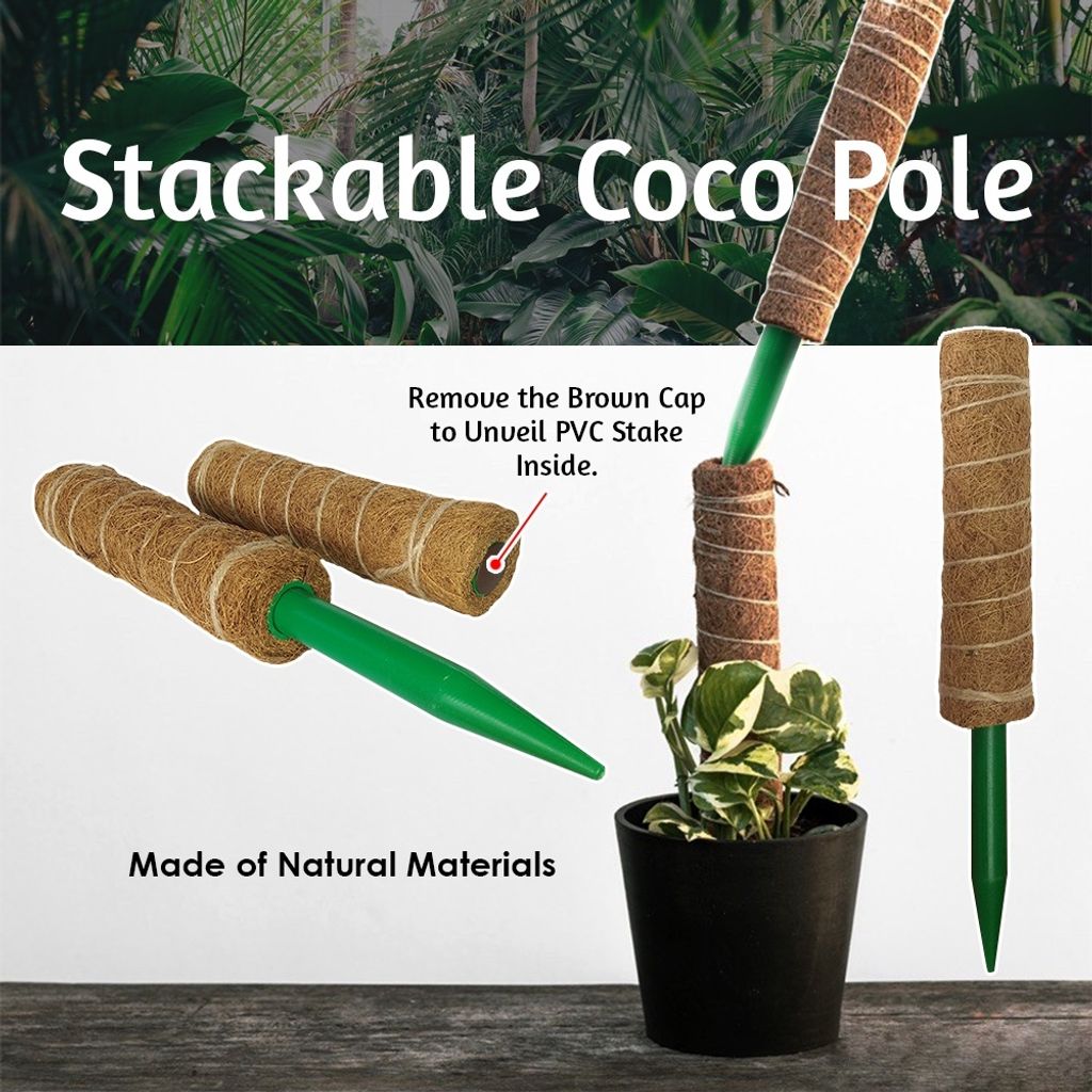 39ad178e435a5f6ffe44fd0a47729d11