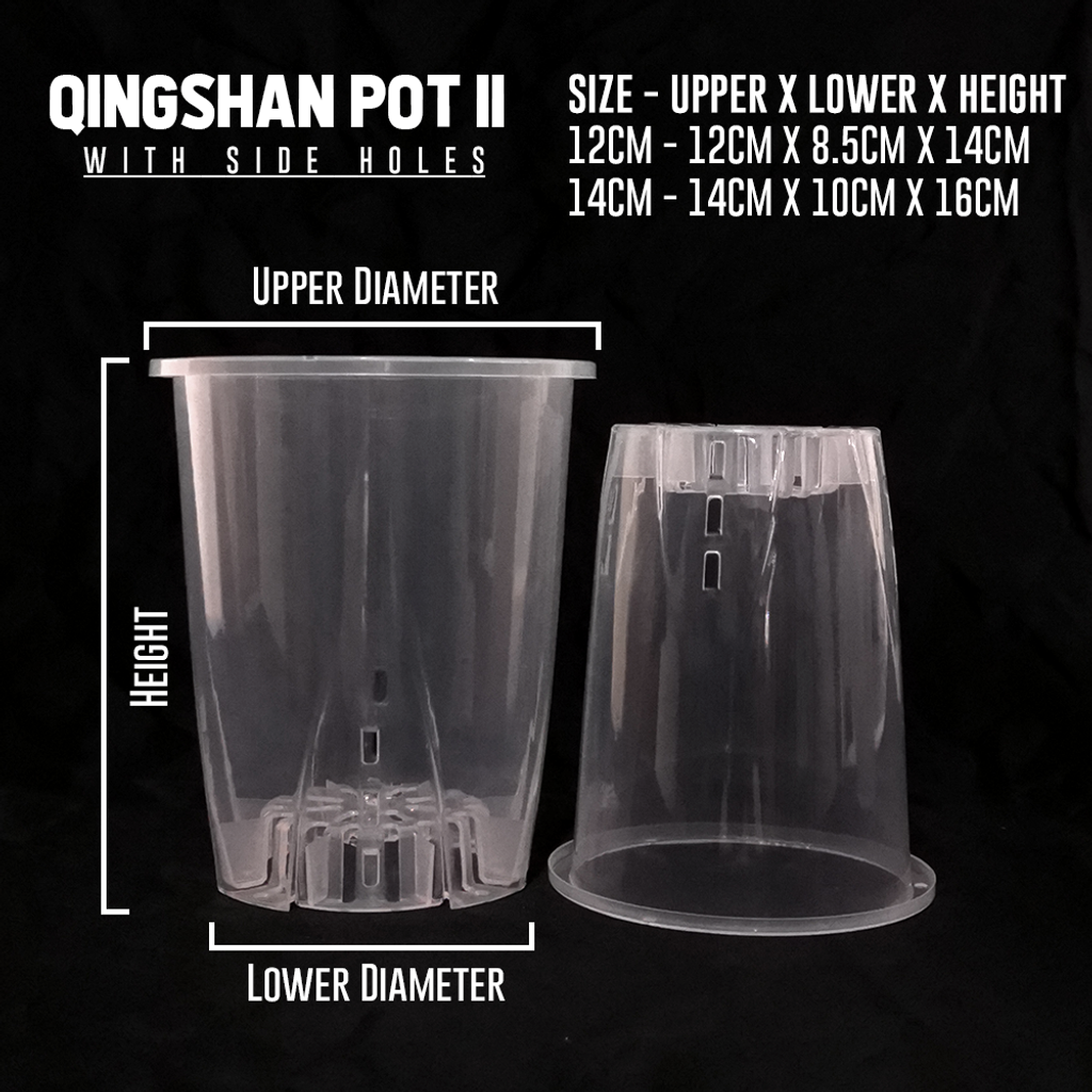 Qingshan II (2)