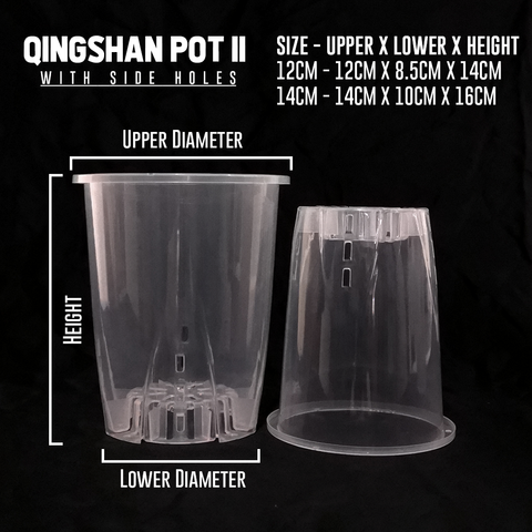 Qingshan II (2)