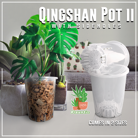 Qingshan II_PM