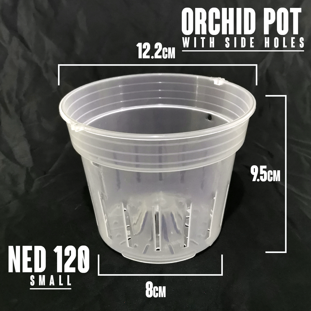 Orchid Pot W Side Holes 120