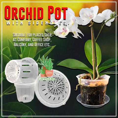 GPT_PM Orchid Pot Thumbnail