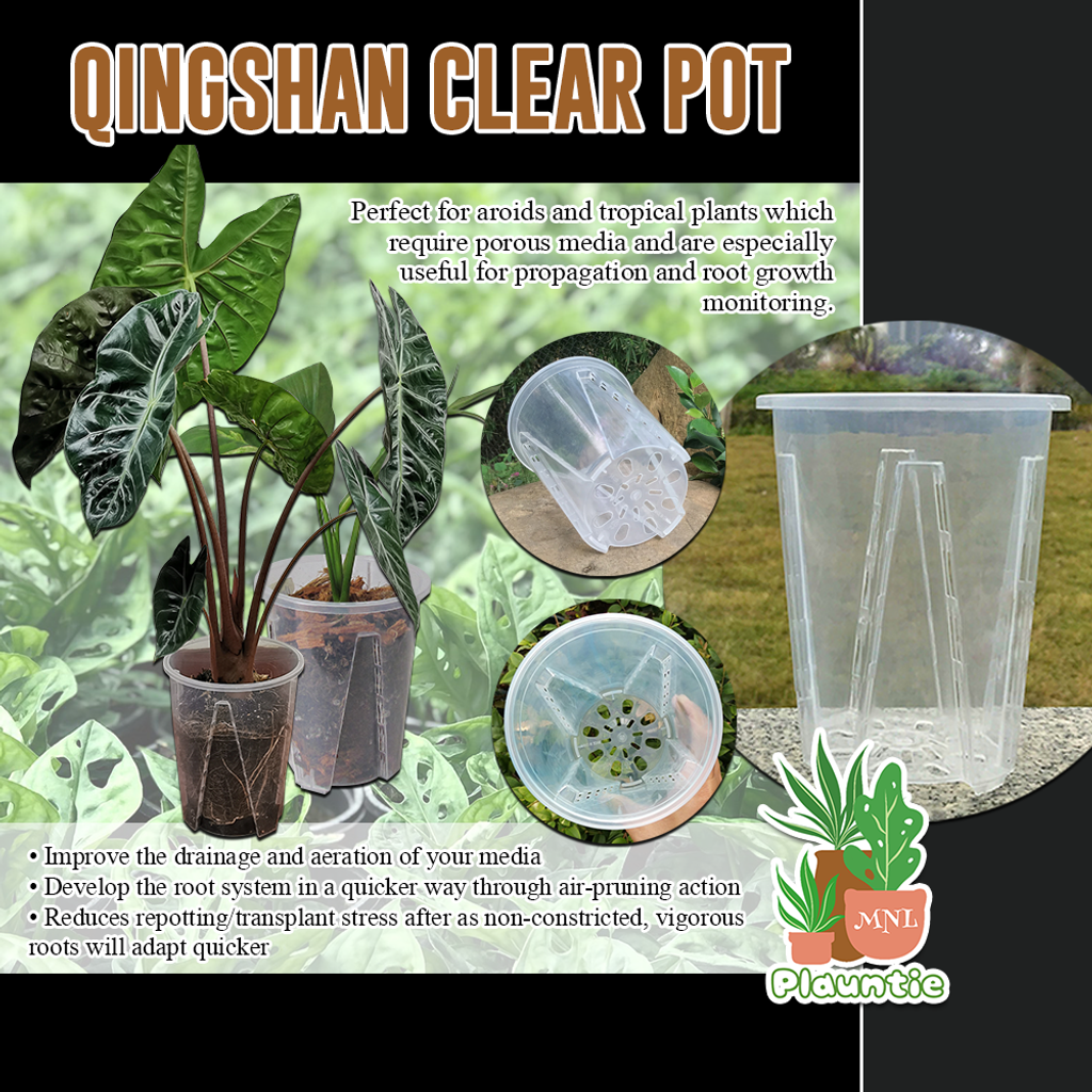 qingshan_PM