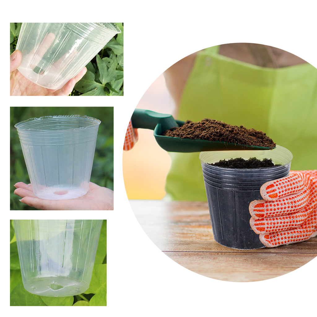 Seedling cup_2