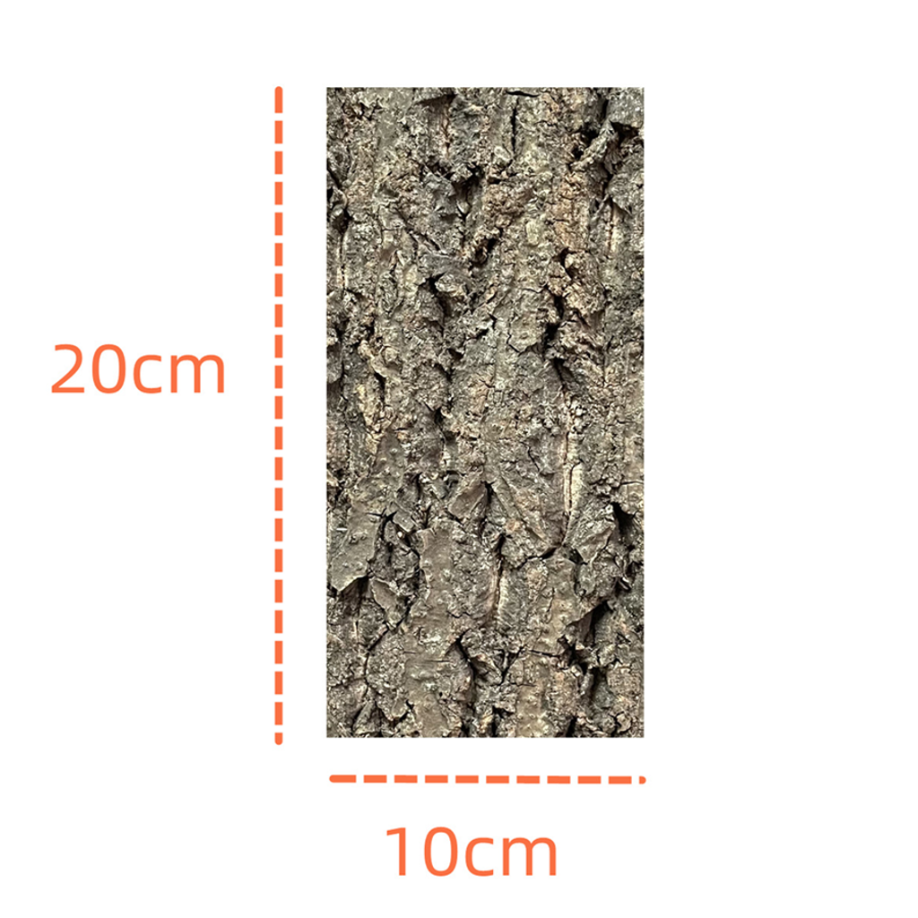 Cork Bark 20x10