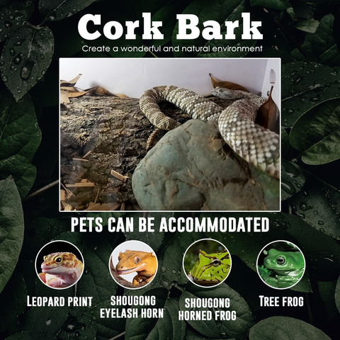 Cork Bark (22)