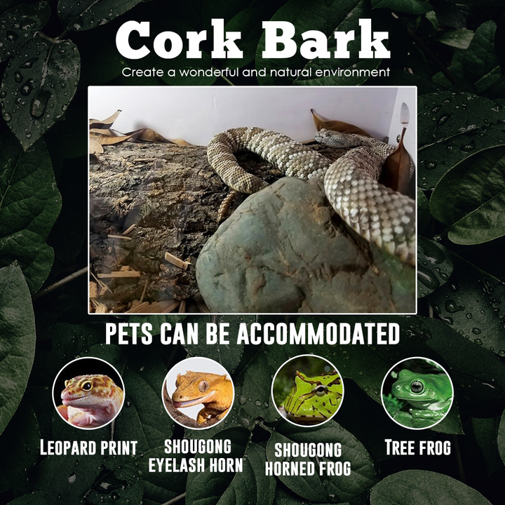 Cork Bark (22)