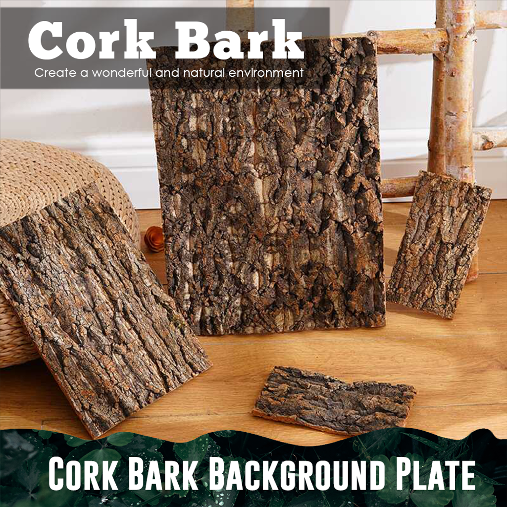 Cork Bark (21)