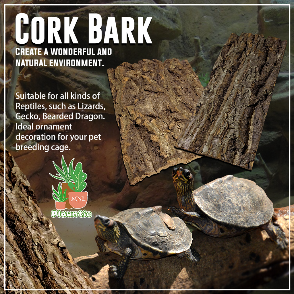 Cork Bark_PM