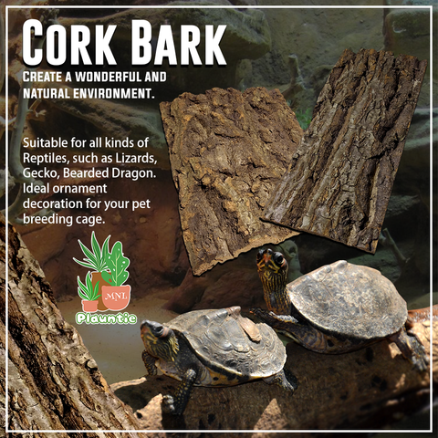 Cork Bark_PM