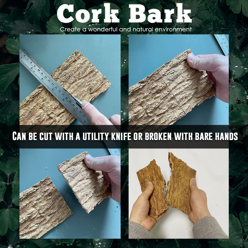 Cork Bark (24)