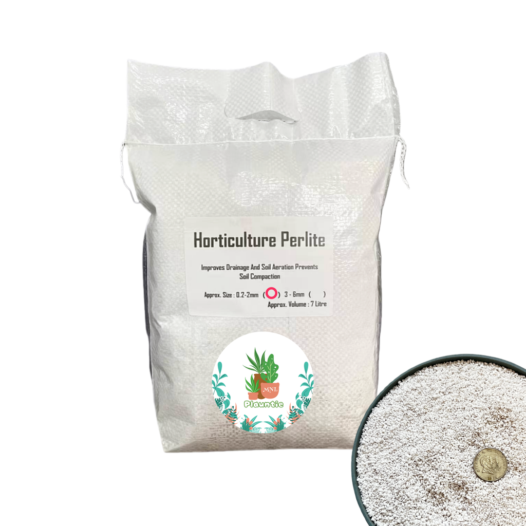 Perlite (0)_ 0.2__PM
