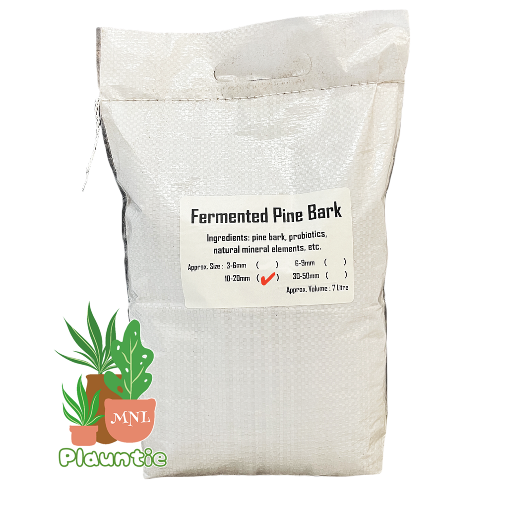 Pine Bark (3-6)_10-20
