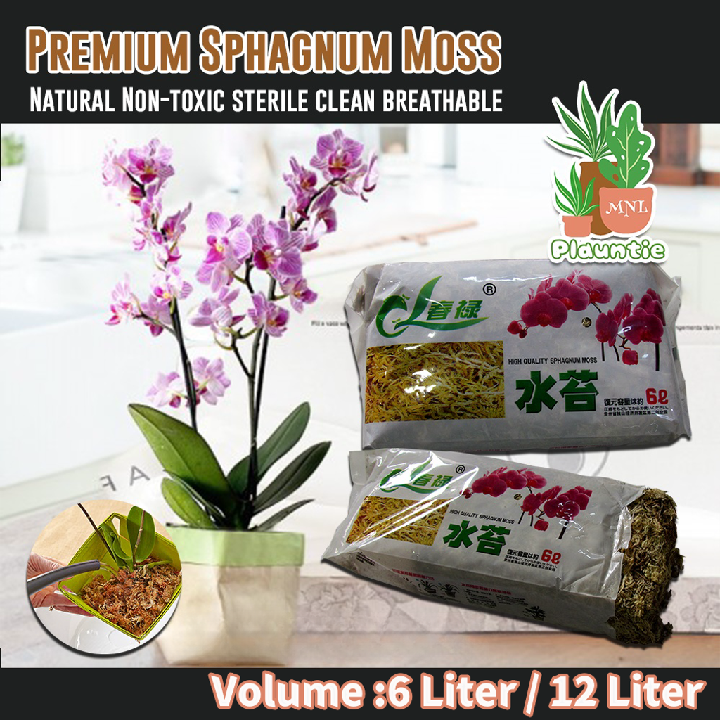 premium sphagnum moss_pm_