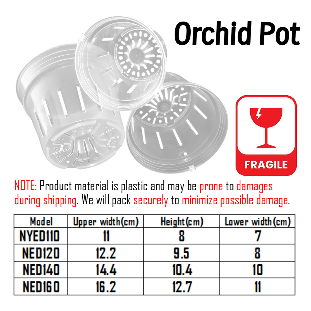Orchid Pot 1