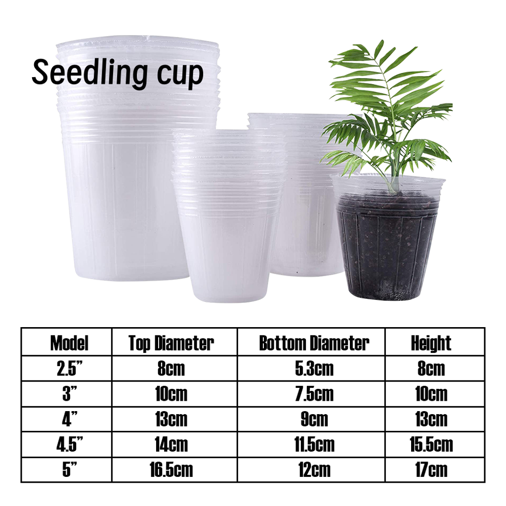 Seedling cup_lo 1