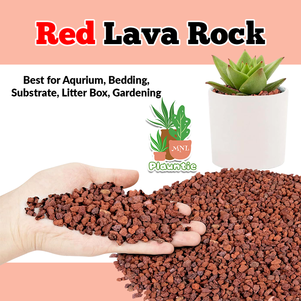 Red Lava Rock_PM