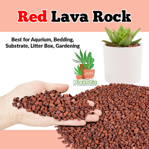 Red Lava Rock_PM