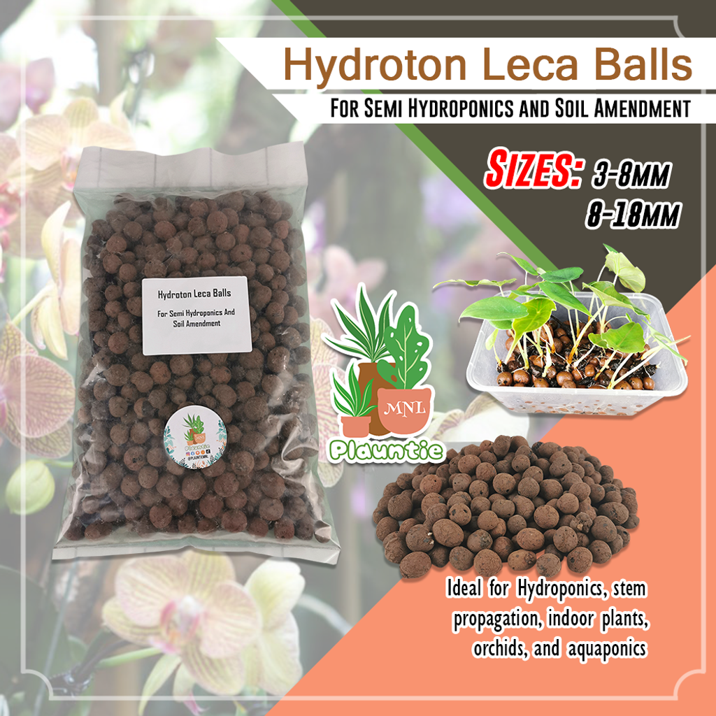 Leca_PM 1