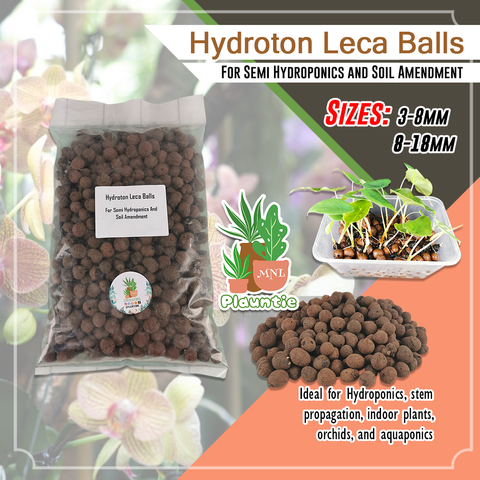 Leca_PM 1