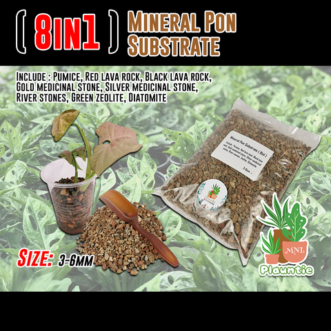 mineral pon_PM
