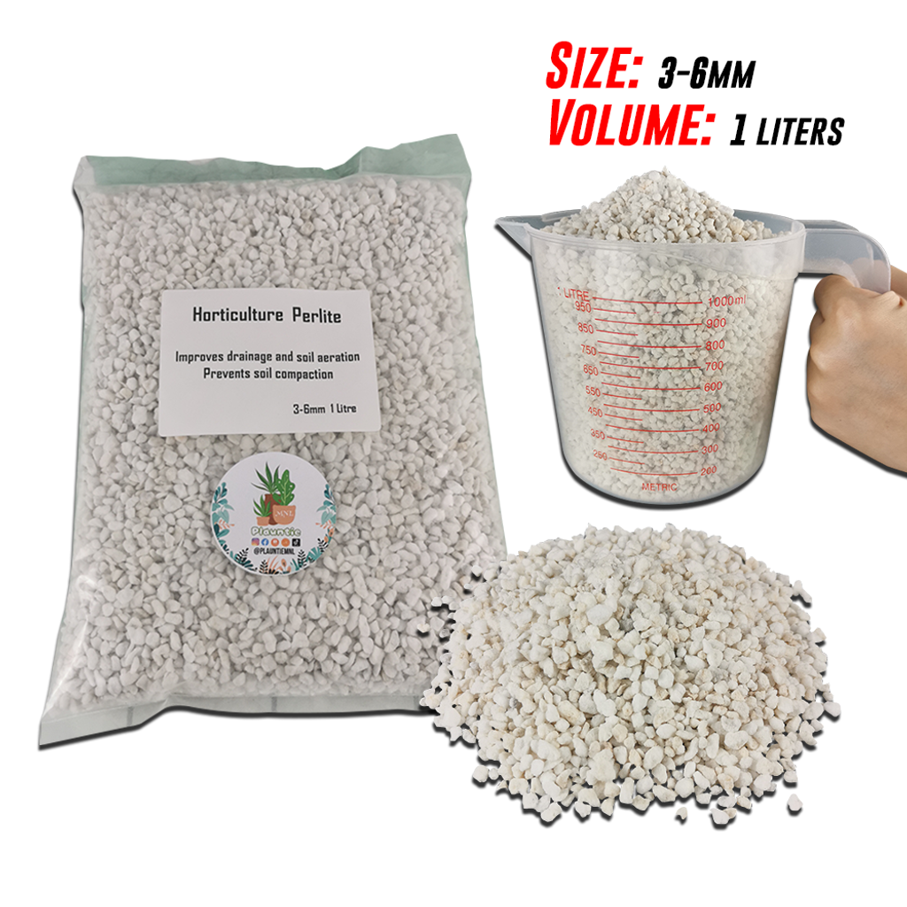 horticultural perlite_ (18)