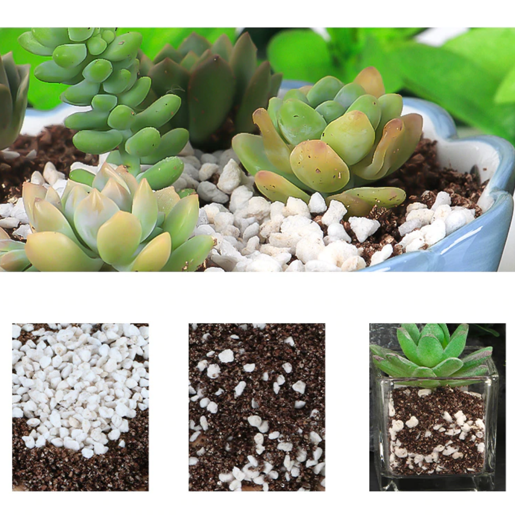 perlite  1 (1)