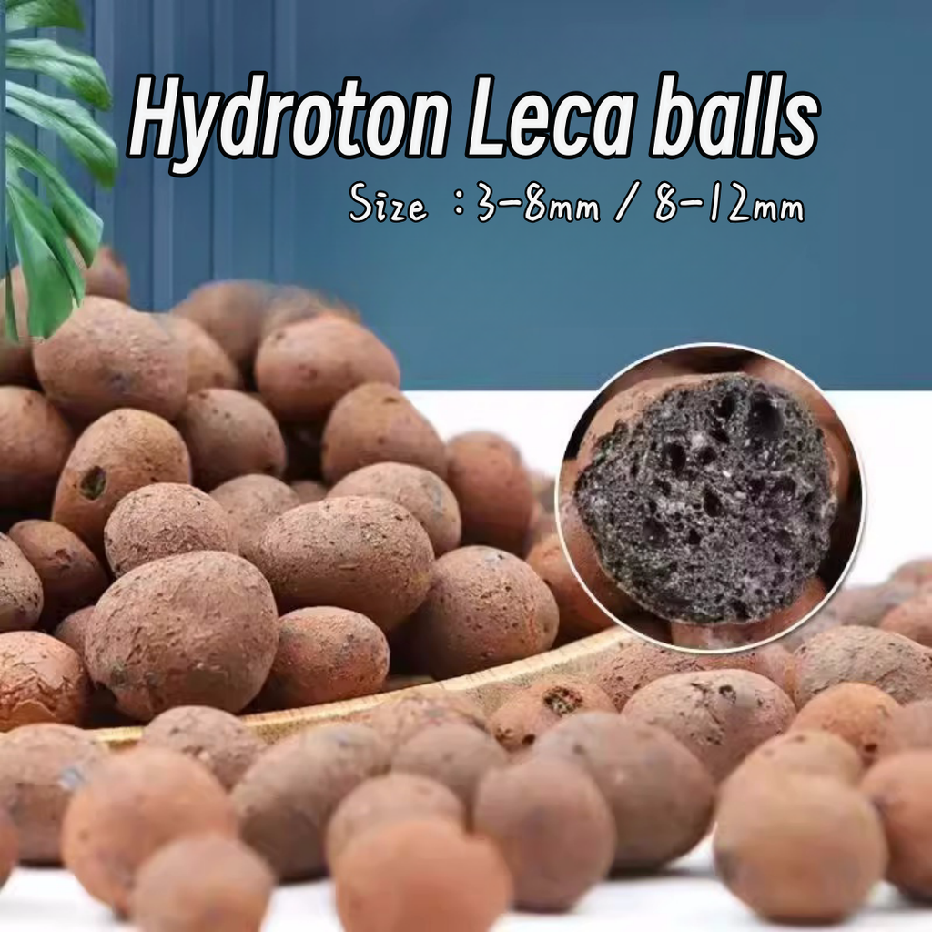 Leca may 19_