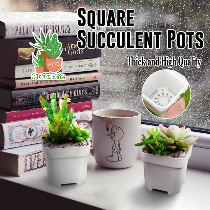 Square Succulent Pots_PM