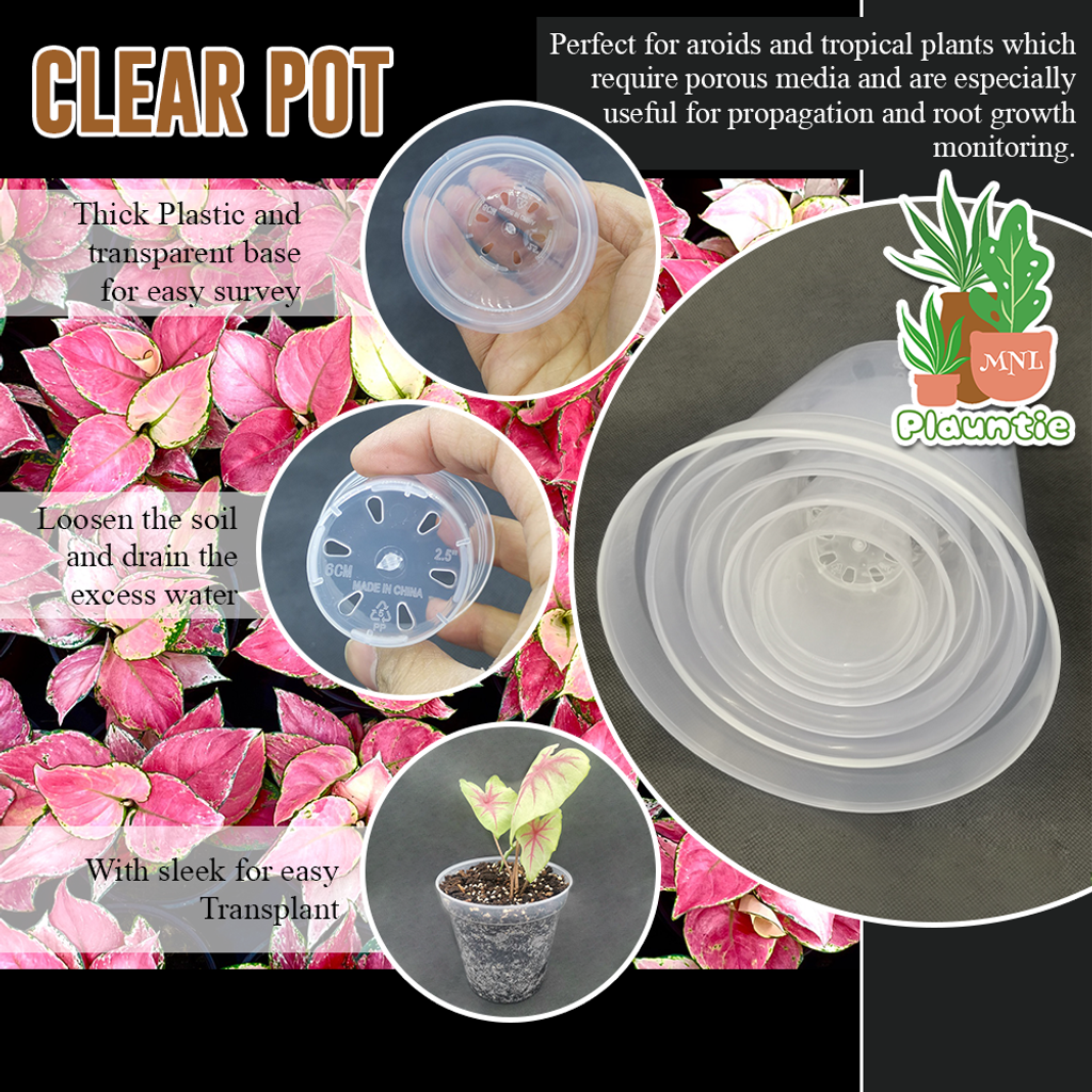 clear pot_PM