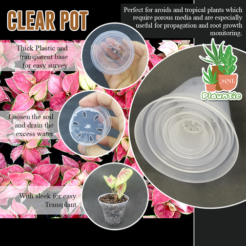 clear pot_PM